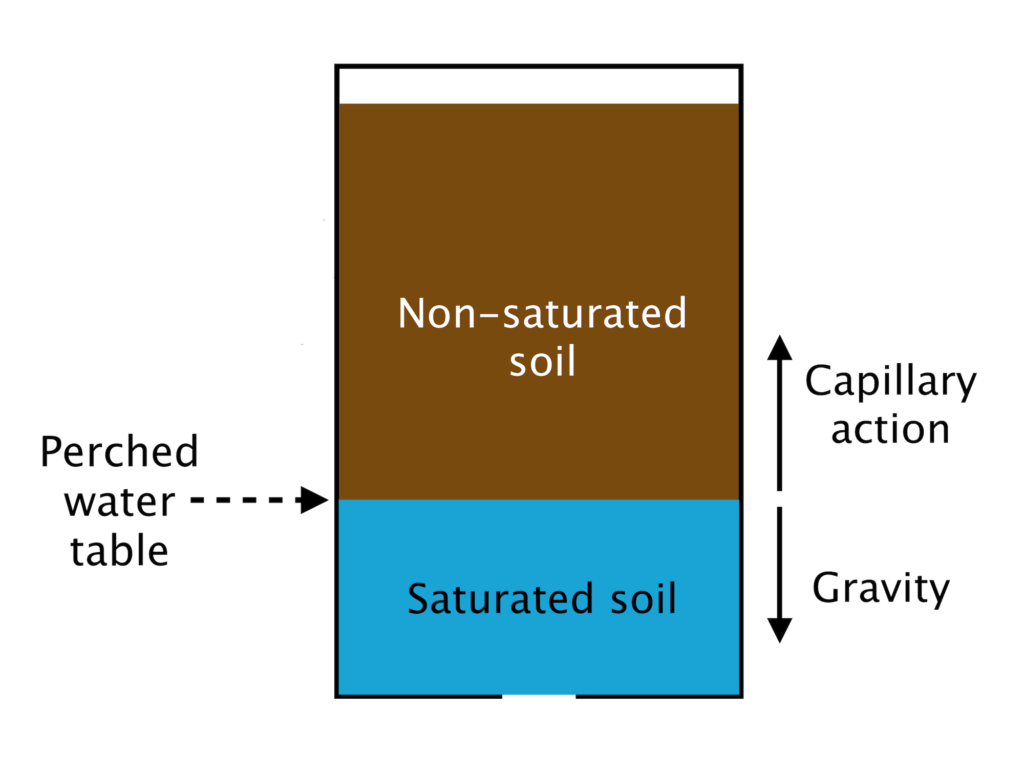 Simplified diagram of a pot of soil, showing the height of the perched water table (saturated soil level) with arrows for the forces of upwards capillary action and downwards gravity.