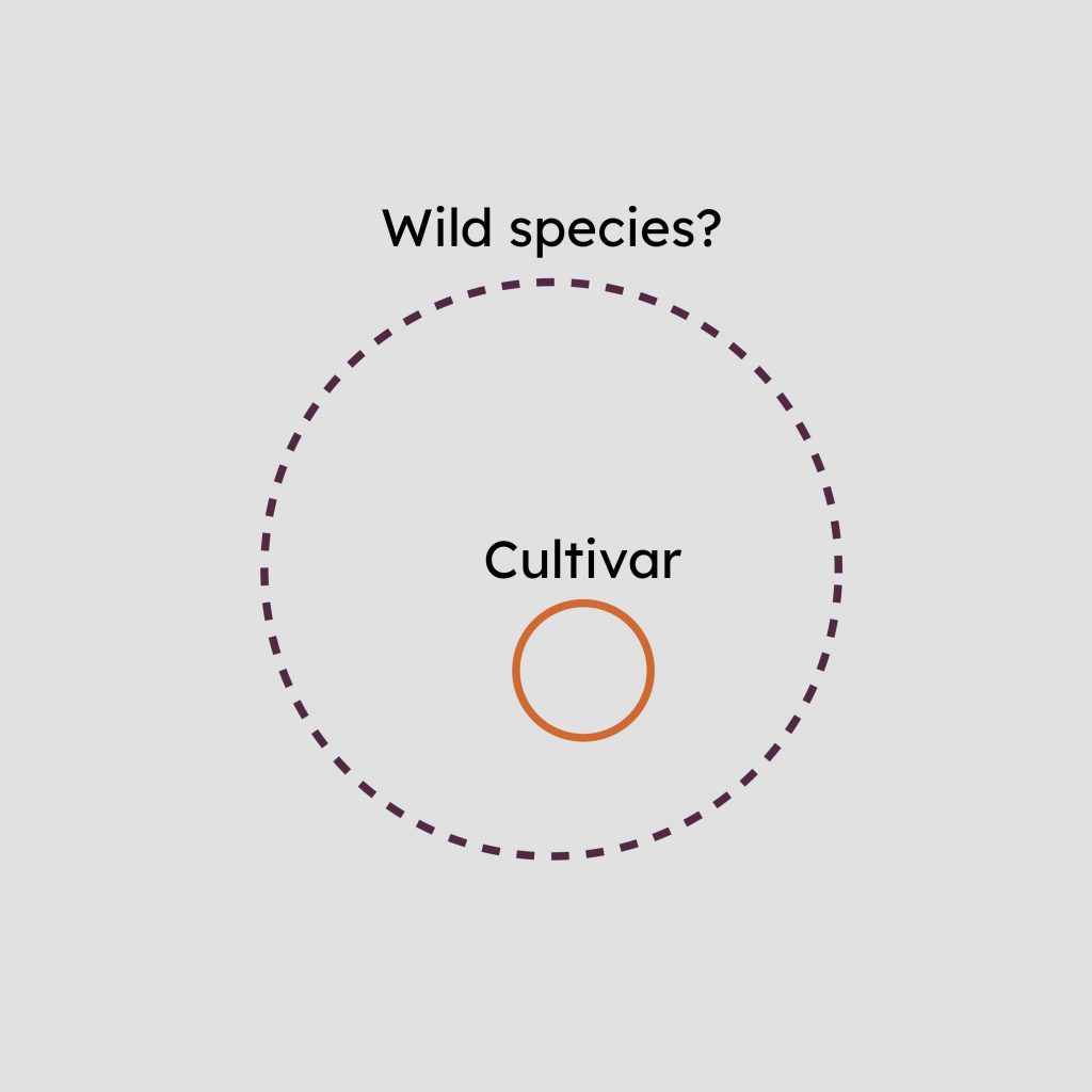 Dotted-line circle labelled "Wild species?", with a smaller solid circle labelled "cultivar" inside.