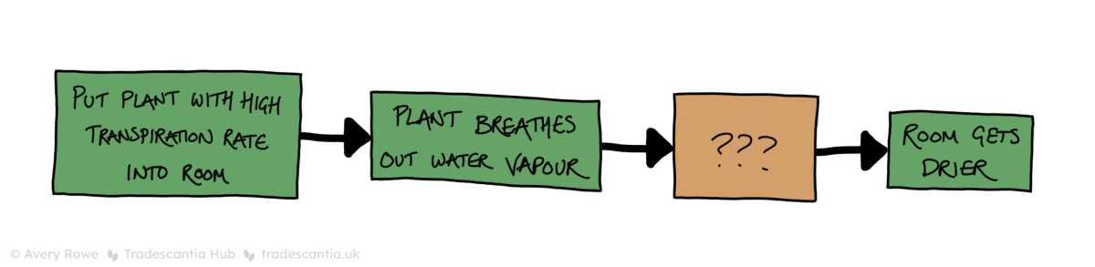 Flow chart of four boxes with arrows leading from them in order: "Put plant with high transpiration rate into room", leads to "Plant breathes out water vapour", leads to "???", leads to "Room gets drier".