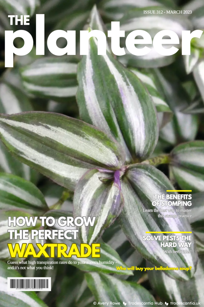 Fake front cover of "The Planteer" magazine. The background image is a close-up of Tradescantia zebrina leaves. The headlines are "How to grow the perfect waxtrade", "Guess what high transpiration rates do to your room's humidity - and it's not what you think!", "The benefits of stomping: learn the best way to master this strange practise", "Solve pests the hard way: with herbicides!", and "Who will buy your belladonna soup?".