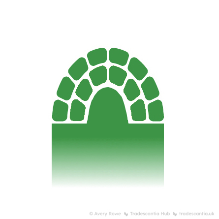 Diagram of a plant stem with a semicircular tip, made up of two layers of square cells